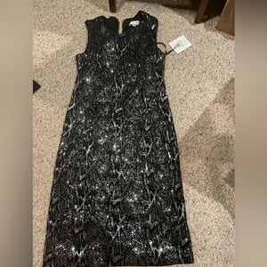 Calvin Klein size 8P dress